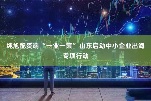 纯旭配资端 “一业一策” 山东启动中小企业出海专项行动