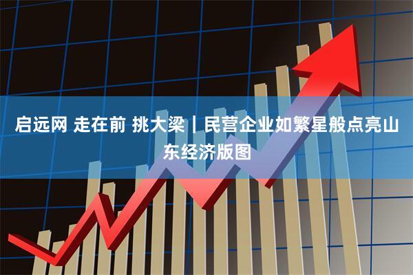 启远网 走在前 挑大梁｜民营企业如繁星般点亮山东经济版图