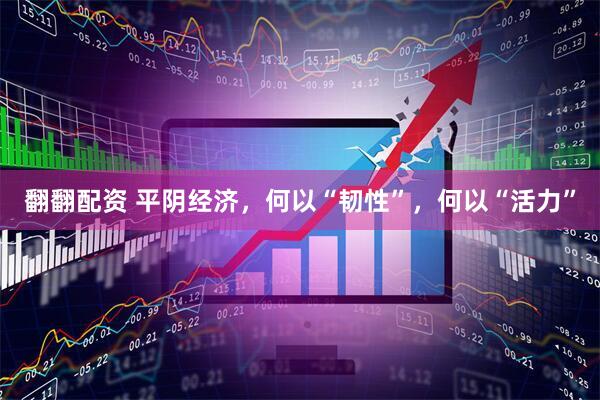 翻翻配资 平阴经济，何以“韧性”，何以“活力”