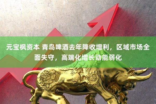 元宝枫资本 青岛啤酒去年降收增利，区域市场全面失守，高端化增长动能弱化