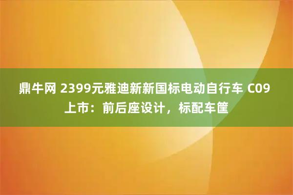 鼎牛网 2399元雅迪新新国标电动自行车 C09 上市：前后座设计，标配车筐