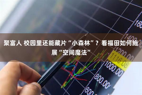 聚富人 校园里还能藏片“小森林”?看福田如何施展“空间魔法”