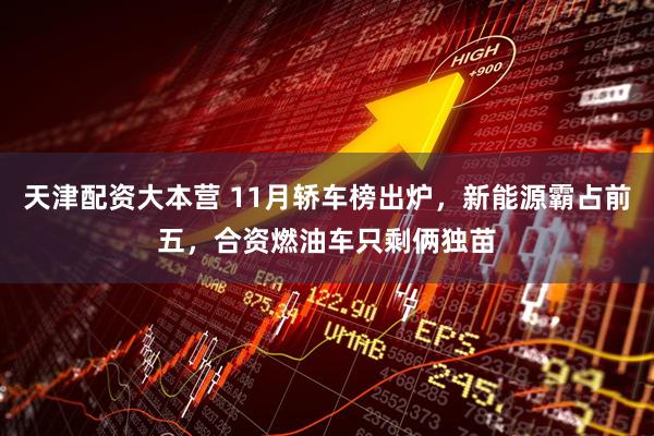 天津配资大本营 11月轿车榜出炉,新能源霸占前五,合资燃油车只剩俩独苗