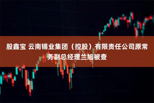 股鑫宝 云南锡业集团(控股)有限责任公司原常务副总经理兰旭被查