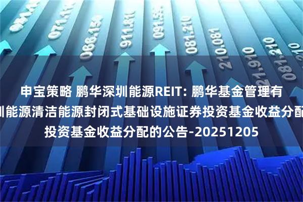 申宝策略 鹏华深圳能源REIT: 鹏华基金管理有限公司关于鹏华深圳能源清洁能源封闭式基础设施证券投资基金收益分配的公告-20251205