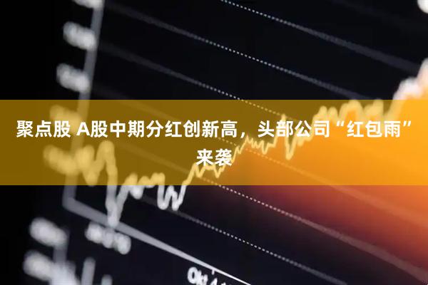 聚点股 A股中期分红创新高，头部公司“红包雨”来袭